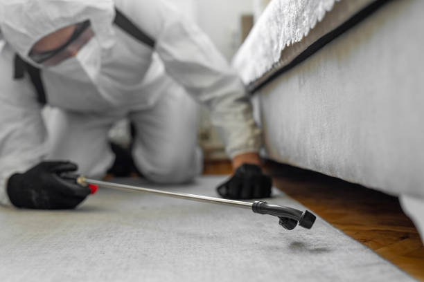 Professional Cockroach Control technician working in Dent, OH